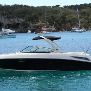 Sea Ray 300 SLX